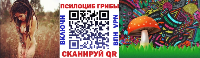Галлюциногенные грибы прущие грибы где можно купить Сурск